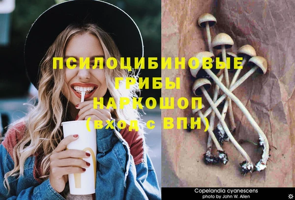 гашишное масло Абинск