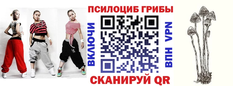 маркетплейс наркотические препараты  Прокопьевск  Галлюциногенные грибы Cubensis 
