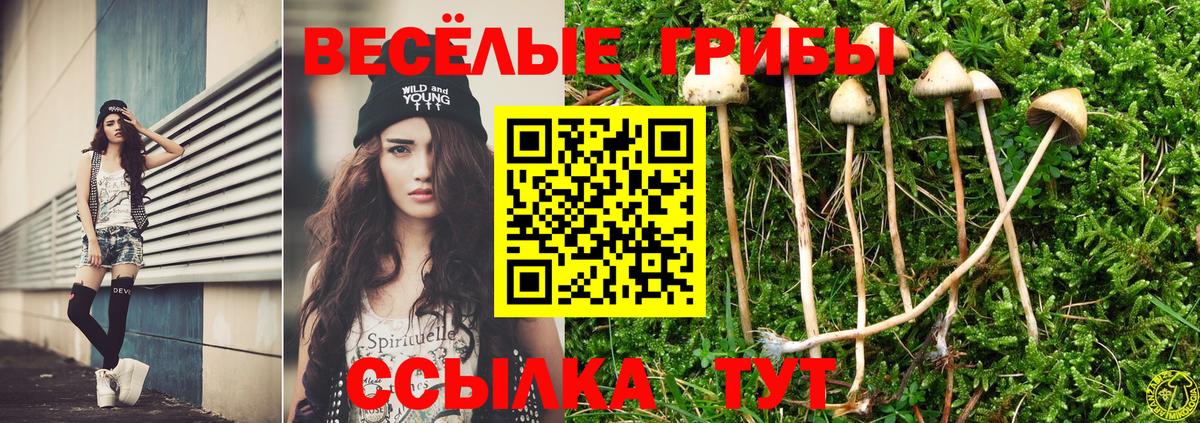 Псилоцибиновые грибы мухоморы  Вход с VPN  Прокопьевск 